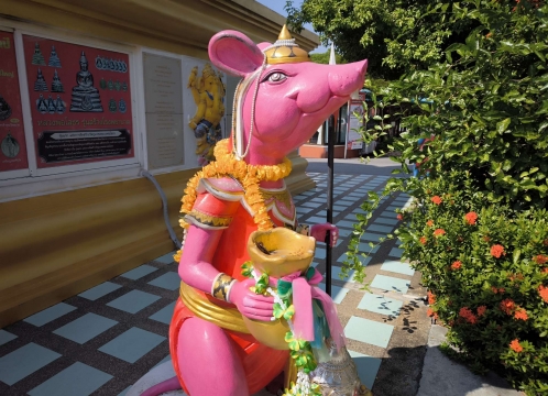 ピンクガネーシャ_ワット・サマーンラッタナーラーム